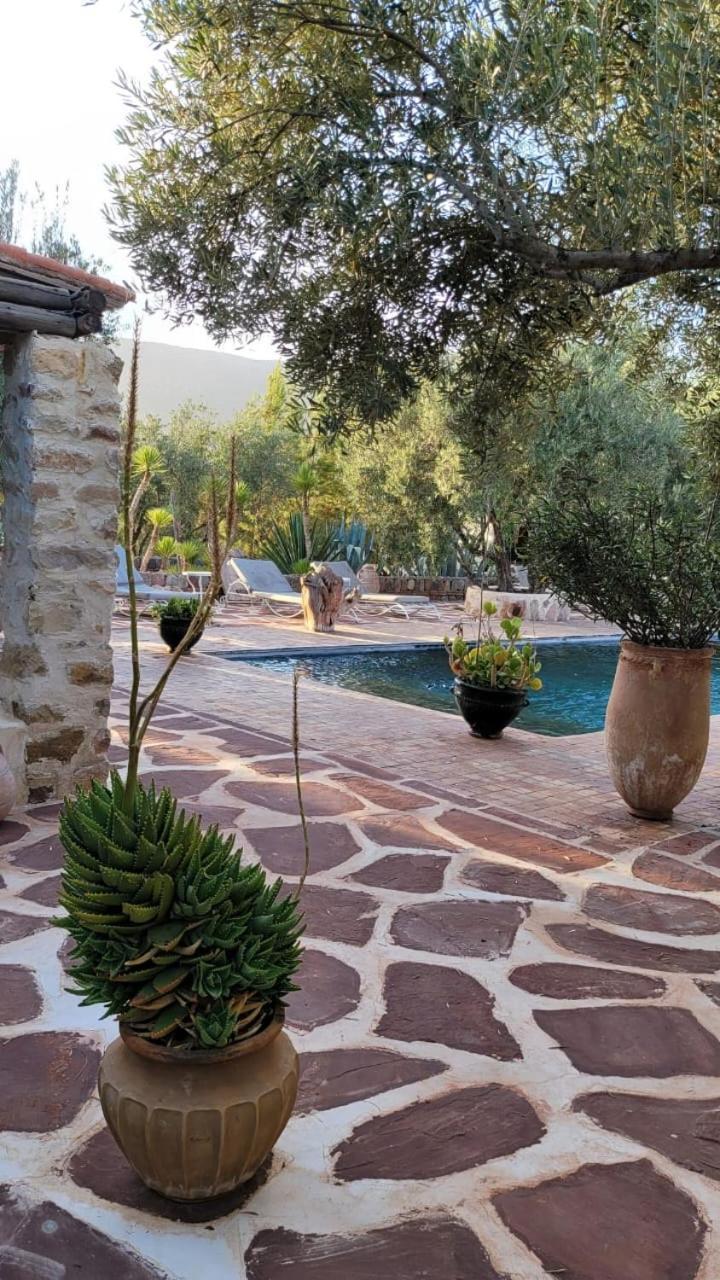 Sel D Ailleurs, Atlas Mountain Retreat - Adults Only Ouirgane Exterior photo